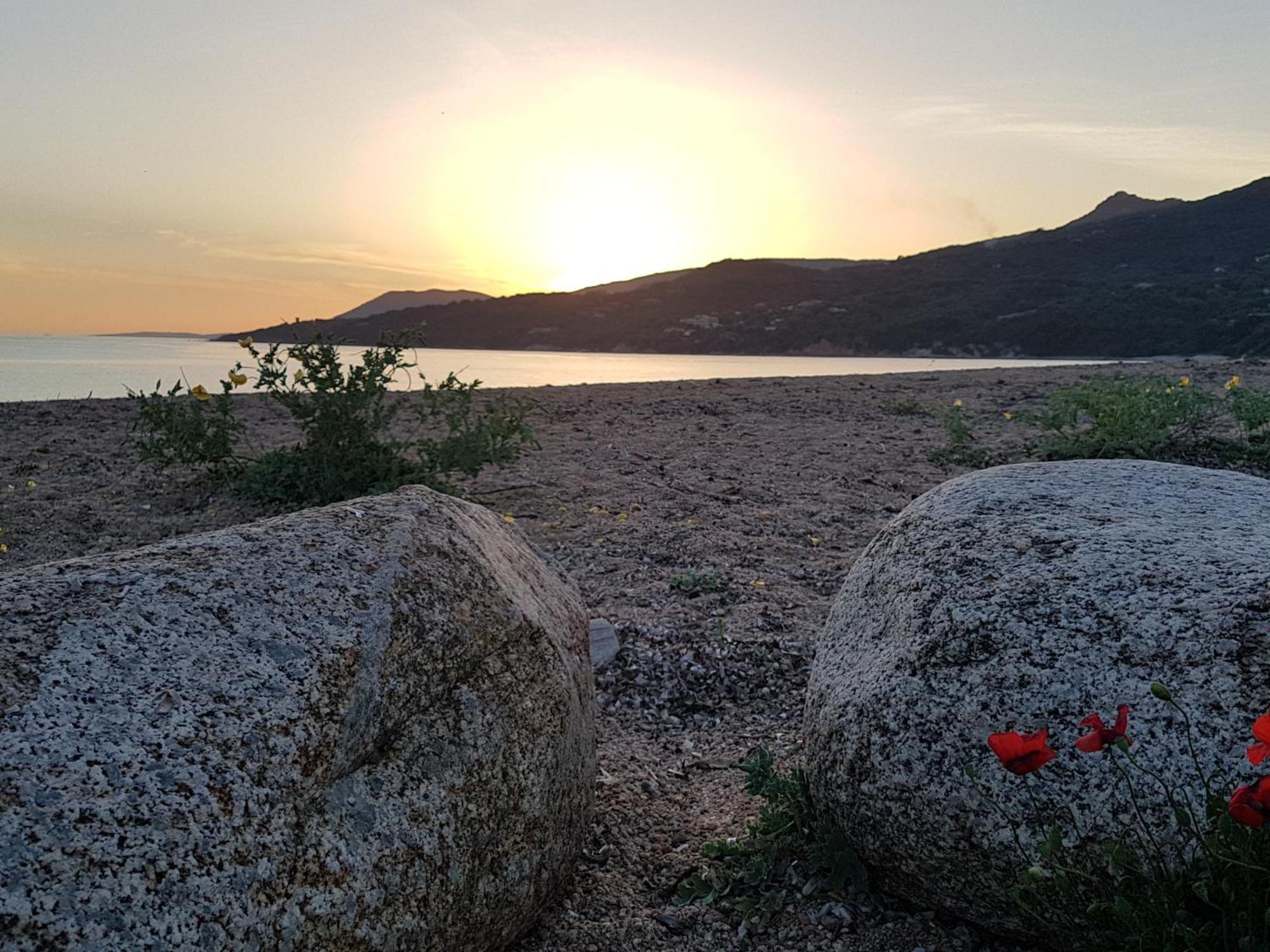 Camping Milella Propriano  Bagian luar foto